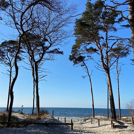 Ferienwohnung Strandkoje Dierhagen Kültér fotó