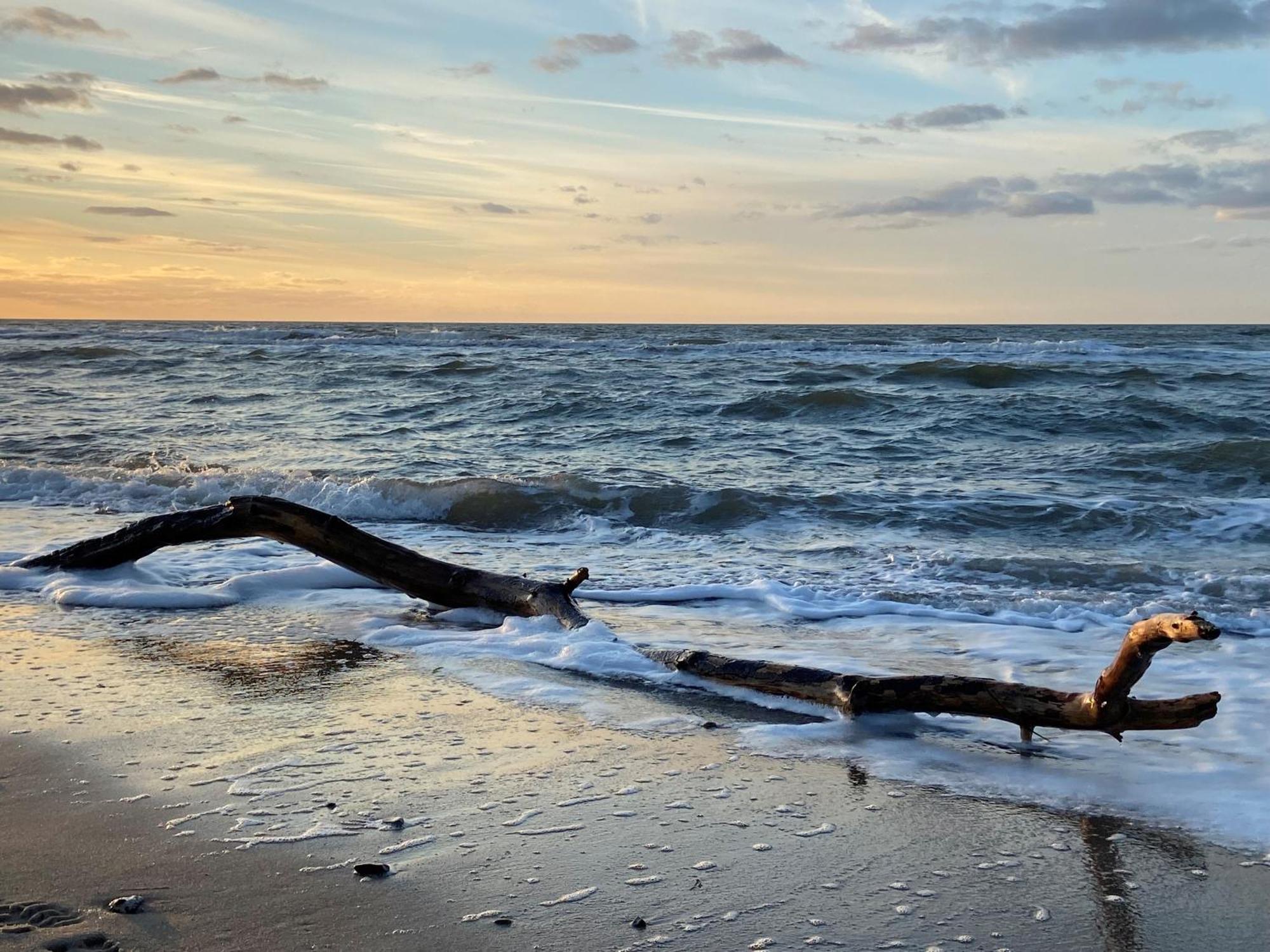 Ferienwohnung Strandkoje Dierhagen Kültér fotó