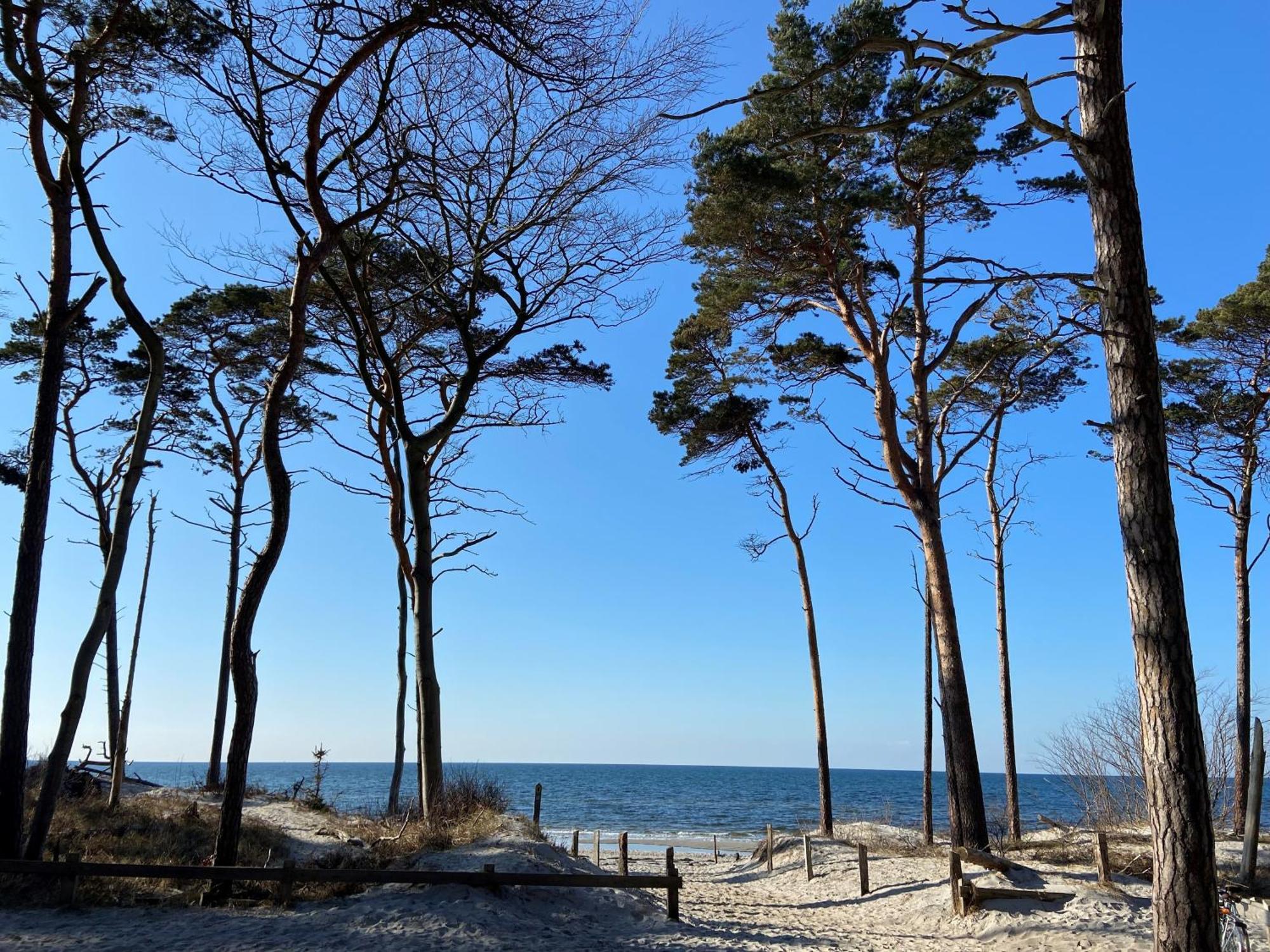 Ferienwohnung Strandkoje Dierhagen Kültér fotó