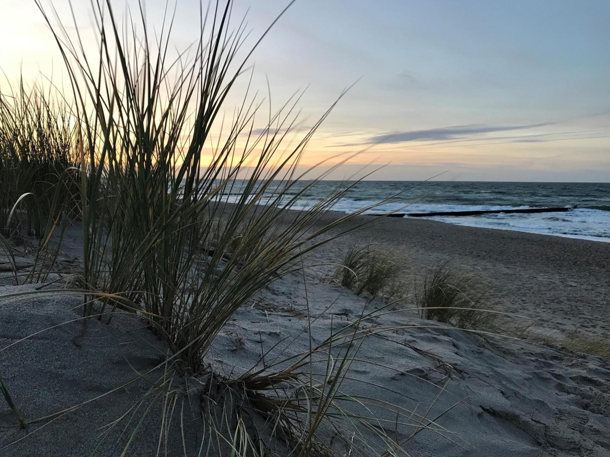 Ferienwohnung Strandkoje Dierhagen Kültér fotó